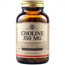 Solgar Choline 350mg Συμπλήρωμα Διατροφής Χολίνη για Καλή Λειτουργία του Νευρικού Συστήματος, Εγκεφάλου & Μνήμης - Συμβάλλει στο Μεταβολισμό Λιπών & Χοληστερίνης, 100veg.caps