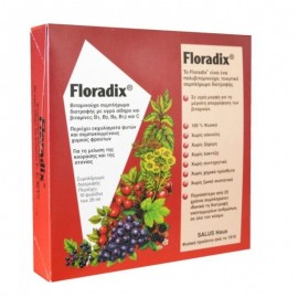 Power Health Floradix, Συμπλήρωμα Διατροφής με ειδικά εκχυλίσματα φρούτων, σίδηρο & βιταμίνες, 10x20ml