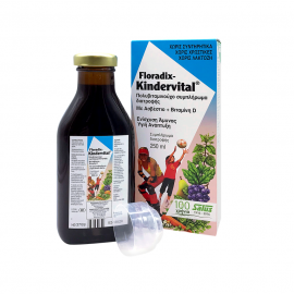 Power Health Floradix Kindervital Food Supplement, Παιδικές Πολυβιταμίνες Για την Άμυνα του Οργανισμού 250ml