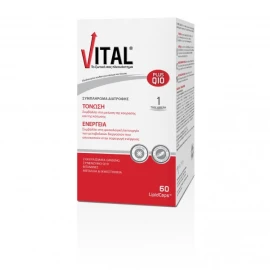 Vital Plus Q10, Συμπλήρωμα διατροφής για Ενέργεια & Τόνωση με Αντιοξειδωτική Προστασία 60Lipid Caps